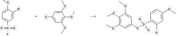 Benzenesulfonylfluoride, 3-amino-4-methoxy- can be used to produce 2-amino-4-methoxy-benzenesulfonic acid 3,4,5-trimethoxy-phenyl ester